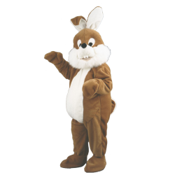 Lapin marron