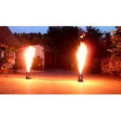 Flammes réelles