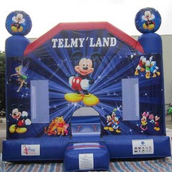 Telmy Land